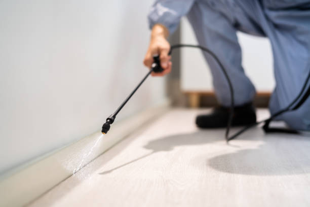 Licensed Fumigation Services service in New York County County, NY - Nex Pest Control